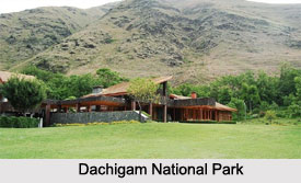 Dachigam National Park, Jammu and Kashmir