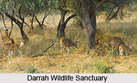 Places of Interest Around Kota, Rajasthan