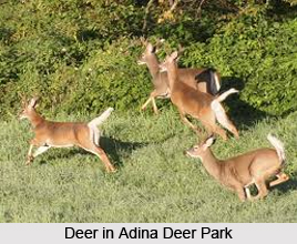 Nature Tourism in West Bengal