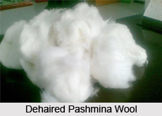 Pashmina Wool, Indian Clothing