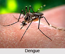 Types of Common Fever