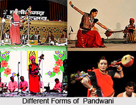 Culture of Durg District