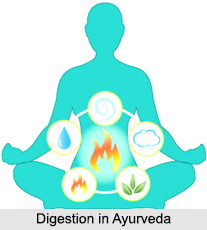 Digestion in Ayurveda, Concepts of Ayurveda