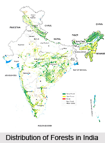 Distribution of Forests in India