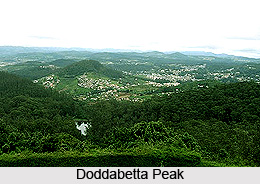 Doddabetta Peak, Nilgiri, Tamil Nadu