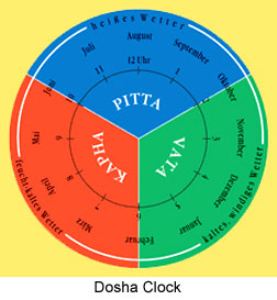 Functions of the Doshas, Ayurveda