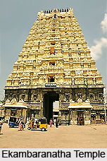 Hindu Architecture under Delhi Sultanate