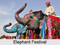Festivals of Jaipur, Indian Regional Festivals, Indian Festivals