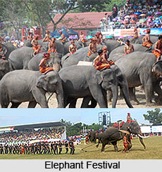 Elephant Festival, Buddhist Festival