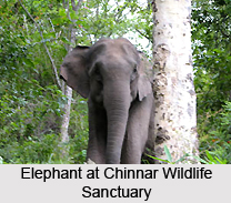 Wildlife Sanctuaries of Kerala