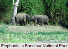 National Parks of Karnataka