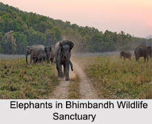 Wildlife Sanctuaries of Bihar