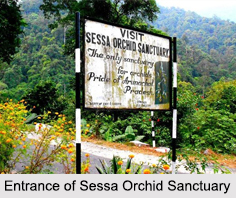 Sessa Orchid Sanctuary, Arunachal Pradesh