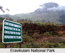 Eravikulam National Park