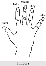Fingers, Palmistry