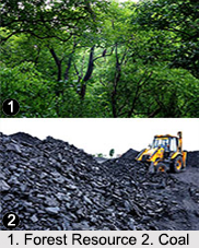 Natural Resources of India