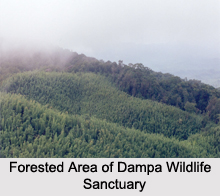 Dampa Tiger Reserve, Mizoram