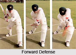 Cricket Shots