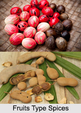 Fruits Type Spices, Indian Spices