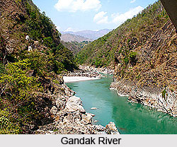 Gandak, Indian River
