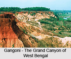 Gongoni, West Bengal