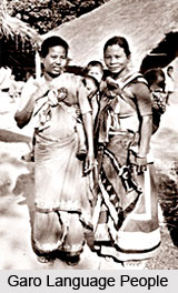 Tibeto-Burman Language Families