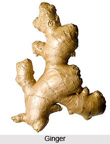 Ginger