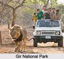 Gir National Park