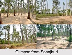 Sonajhuri, Birbhum District, Shantiniketan