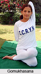 Asanas in Hatha Yoga
