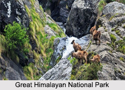 National Parks of Himachal Pradesh