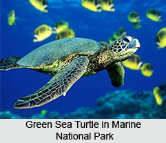 Marine National Park