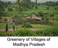 Villages of Madhya Pradesh, Villages of India