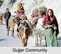 Gujjar Community, Indian Community