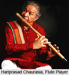 Indian Classical Instrumentalists