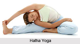 Effects of Hatha Yoga