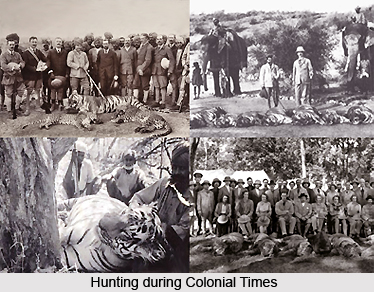 Hunting in India