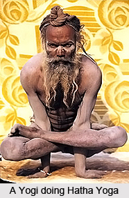Impact of Hatha Yoga on Body Cells, Human Body and Hatha Yoga