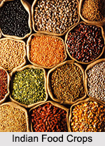 Indian Food Crops, Indian Vegetation