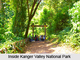 Kanger Valley National Park, Chhattisgarh