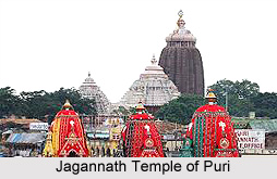 Nabakalebara, Ratha Yatra, Puri