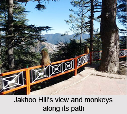 Jakhoo Hill, Shimla, Himachal Pradesh