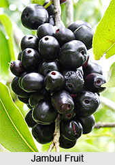 Natural Remedy for Hysteria, Naturopathy