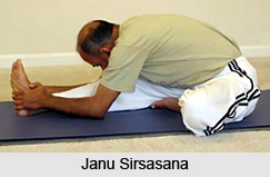 Janu Sirsasana