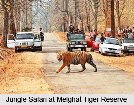 Melghat Tiger Reserve