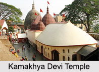 Shakti Peethas in India, Durga Temples in India