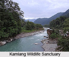 Kamlang Wildlife Sanctuary, Lohit District, Arunachal Pradesh