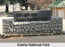 Forests and sanctuaries along Narmada, Indian River