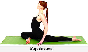 Kapotasana, Yoga Asanas