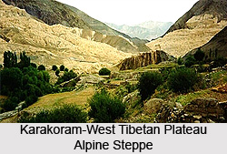 Karakoram-West Tibetan Plateau Alpine Steppe Forest